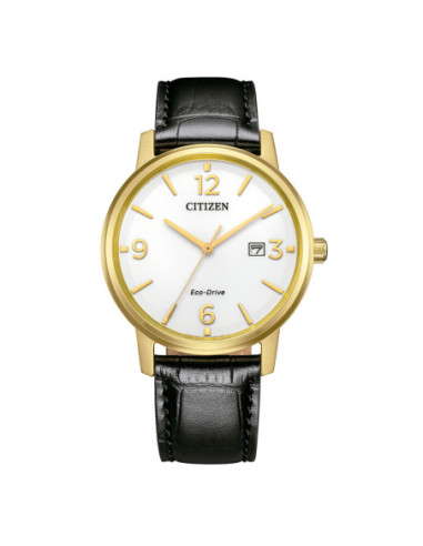 Reloj Citizen Eco Drive Pair BM6756-01A