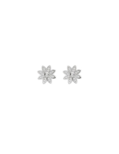 Pendientes Oro Blanco Y Diamantes