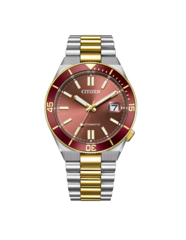 Reloj Citizen Tsuyosa Shore NJ0234-58X